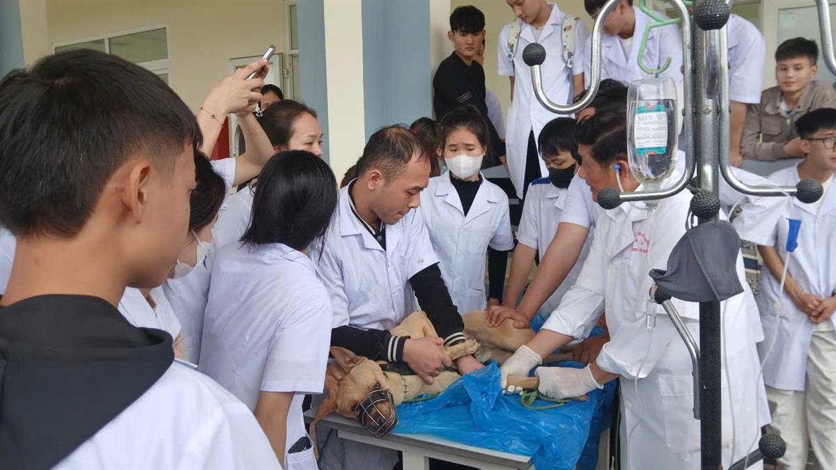 Sinh viên ngành Thú y – Học thật, làm thật cùng chuyên gia