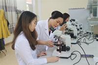 Cơ hội việc làm sau khi học ngành thú y, Khoa Nông Lâm Trường Đại học Nghệ An